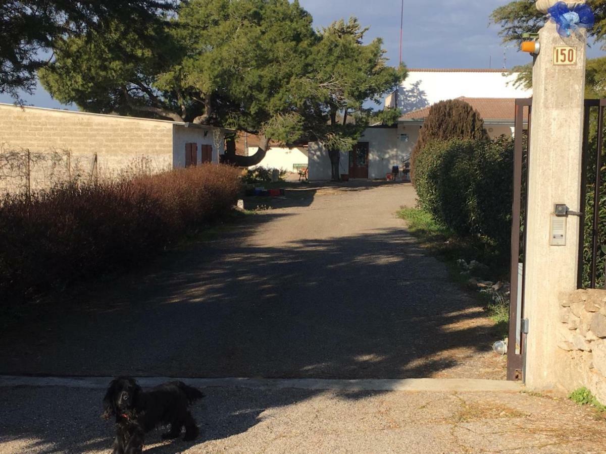 B&B Nuzzi Cassano delle Murge Exteriér fotografie