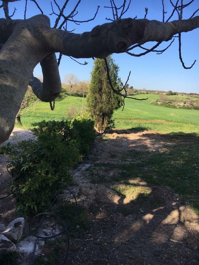 B&B Nuzzi Cassano delle Murge Exteriér fotografie